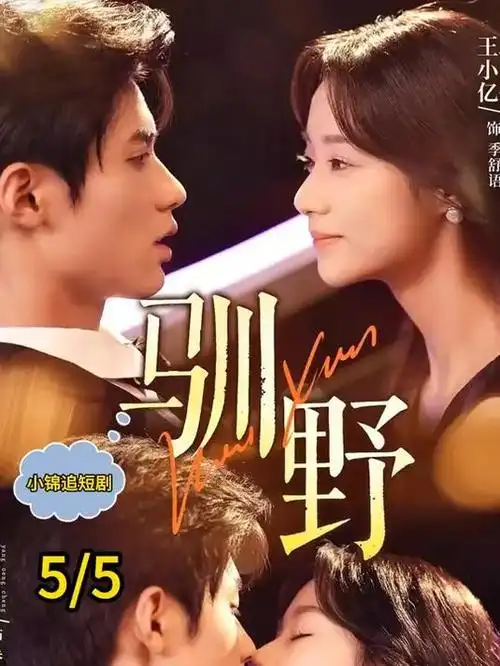 我的阿勒泰 画廊海报